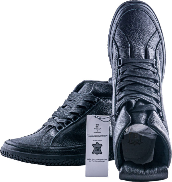 Vogues Ercolus Schwarz